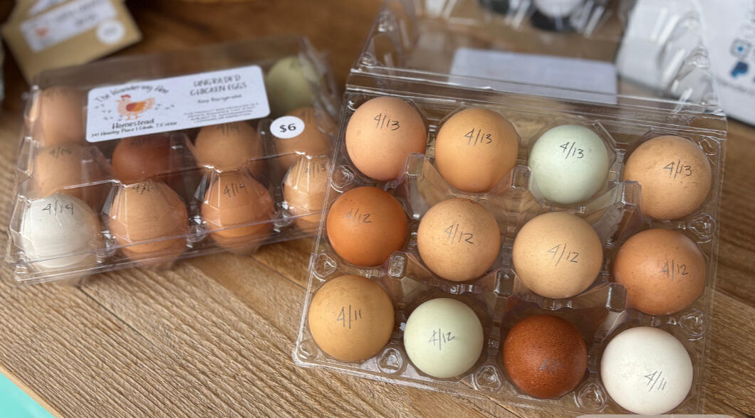 eggs