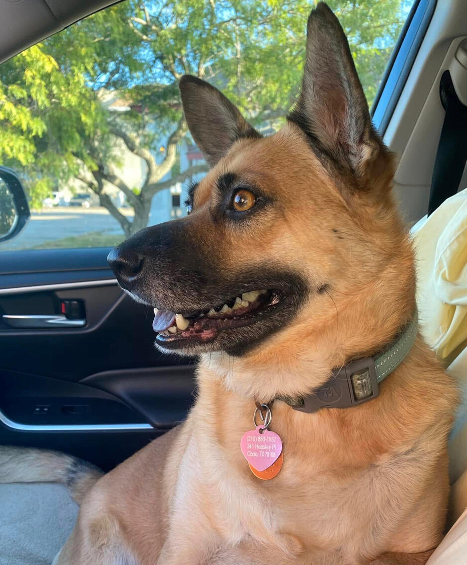 The Resident Goofball Finley